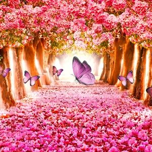 Meet your Posher, Renee